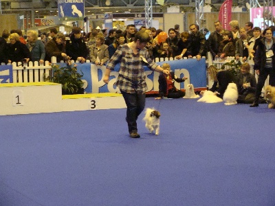 des merles Enchanteurs - 25.02.2012, Paris, Concours Général Agricole