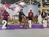  - Best In Show couple