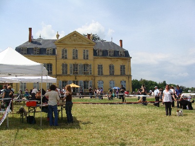 des merles Enchanteurs - 1 mai, exposition de Roanne